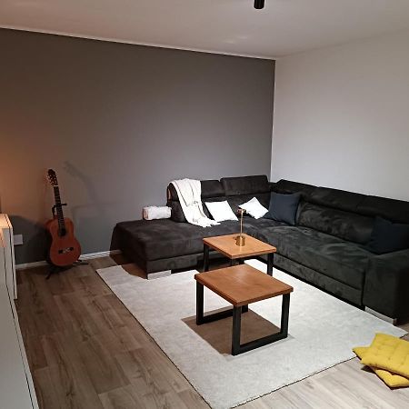 Stylish 1-Bedroom Flat With Beautiful Terrace , For A Cosy Retreat Strasbourg Eksteriør billede