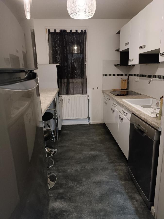 Stylish 1-Bedroom Flat With Beautiful Terrace , For A Cosy Retreat Strasbourg Eksteriør billede
