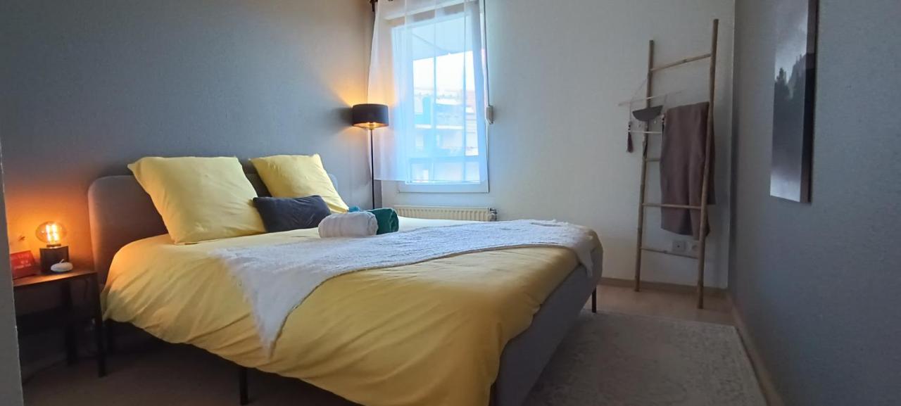 Stylish 1-Bedroom Flat With Beautiful Terrace , For A Cosy Retreat Strasbourg Eksteriør billede